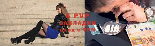 Альфа ПВП Верея