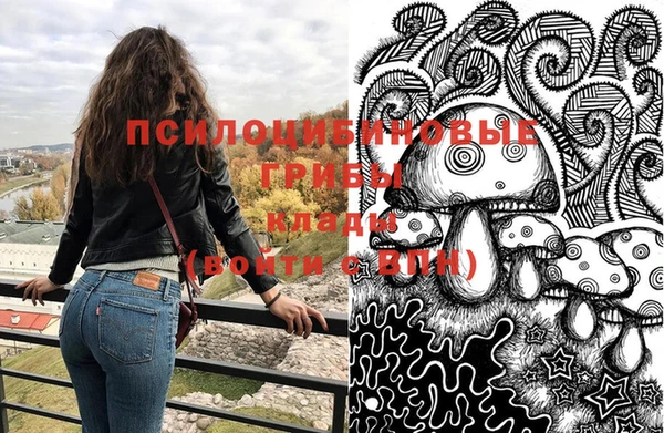 дмт Верхний Тагил