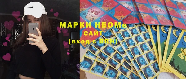 Альфа ПВП Верея