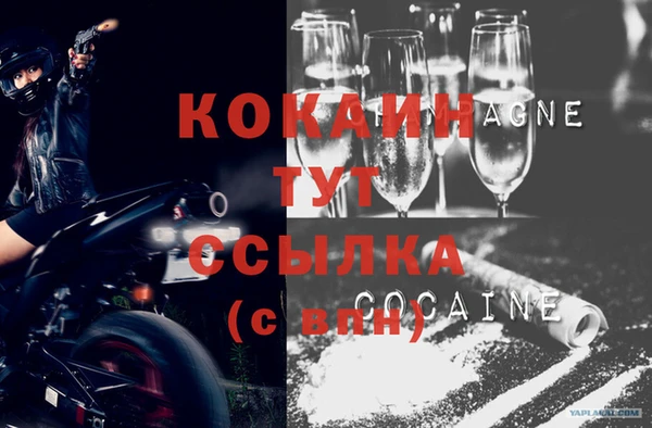 Альфа ПВП Верея