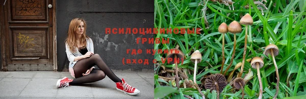 Альфа ПВП Верея